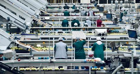 Impact of Poor Pest Management on Food Safety