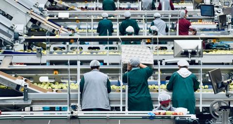 Food Industrys Pest Control Solution