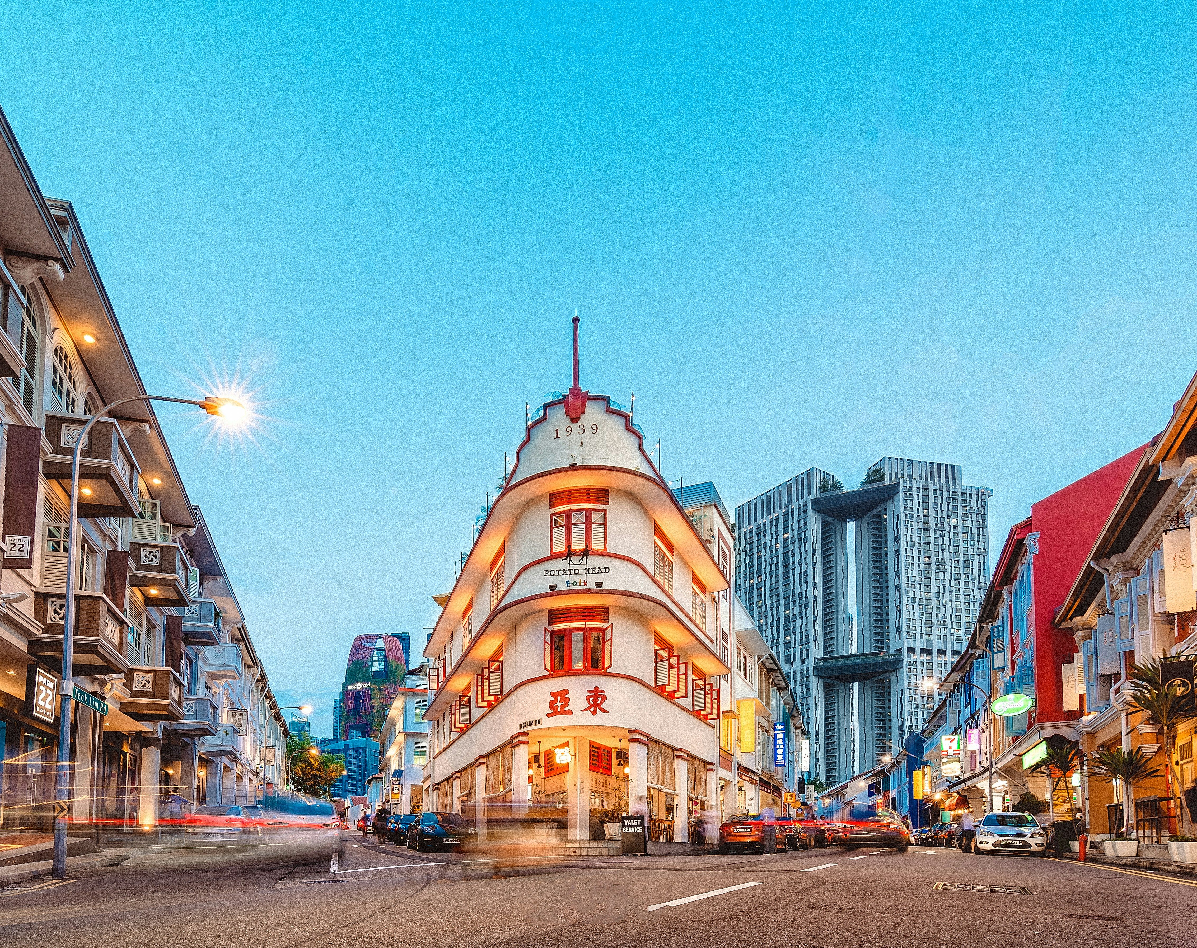 singaporese termites also live in high-rise buildings