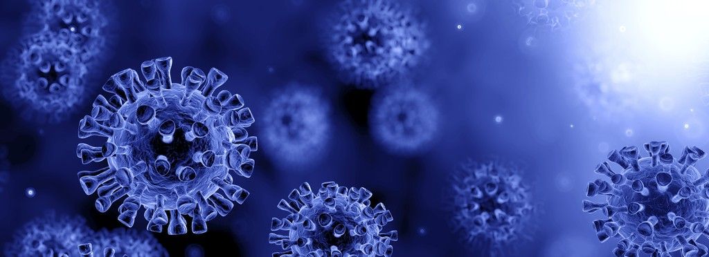 Disinfection Solutions