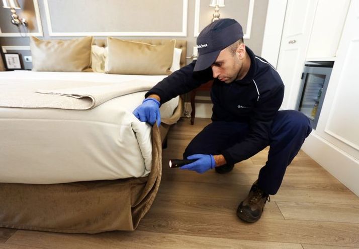 anticimex professional bed bugs control