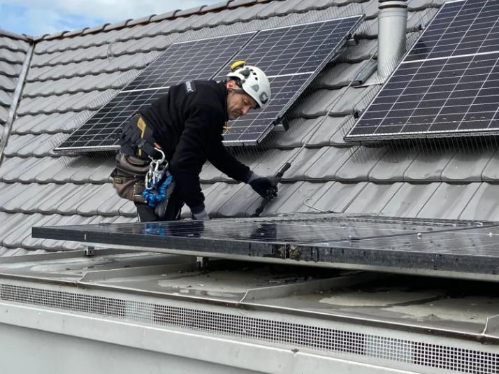 Securing Your Solar Panels from Bird Disturbance