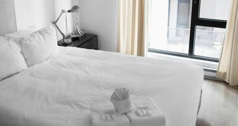 Common Hotel Pests You Must Know