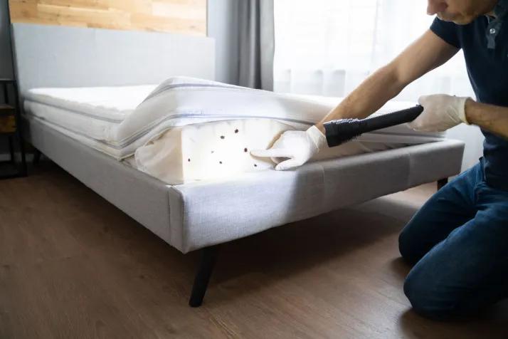 professional bed bugs control services