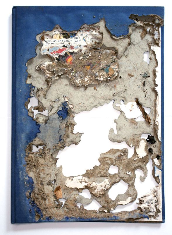 Clothing, Paper & Other Cellulose Items damage by termites