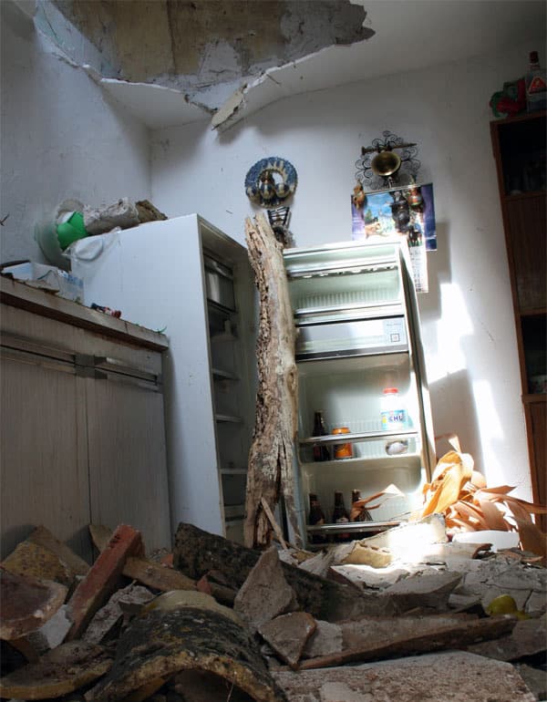 Efecto destructivo de termitas en viviendas