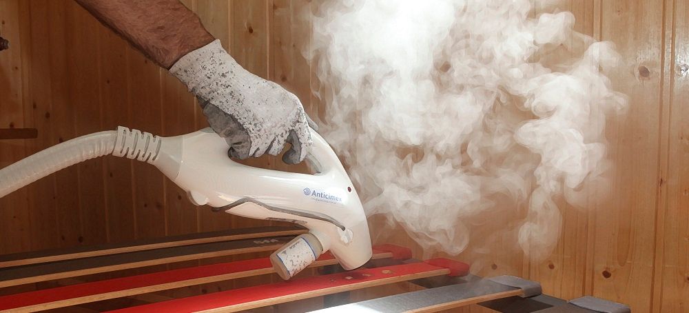 anticimex-chinches-de-cama