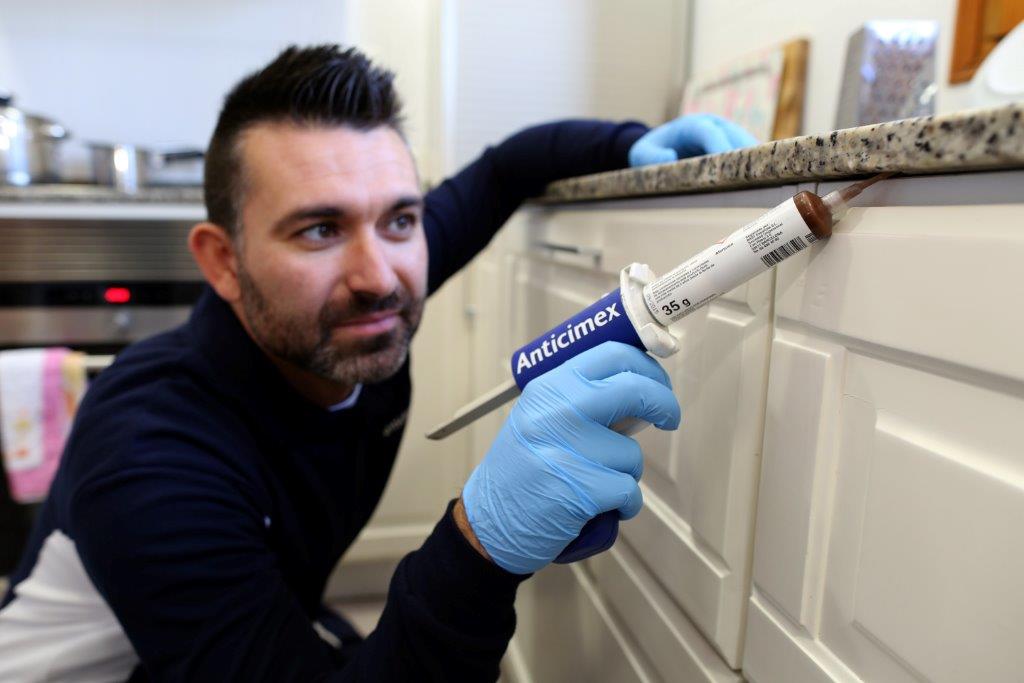 eliminar-cucarachas-empresas