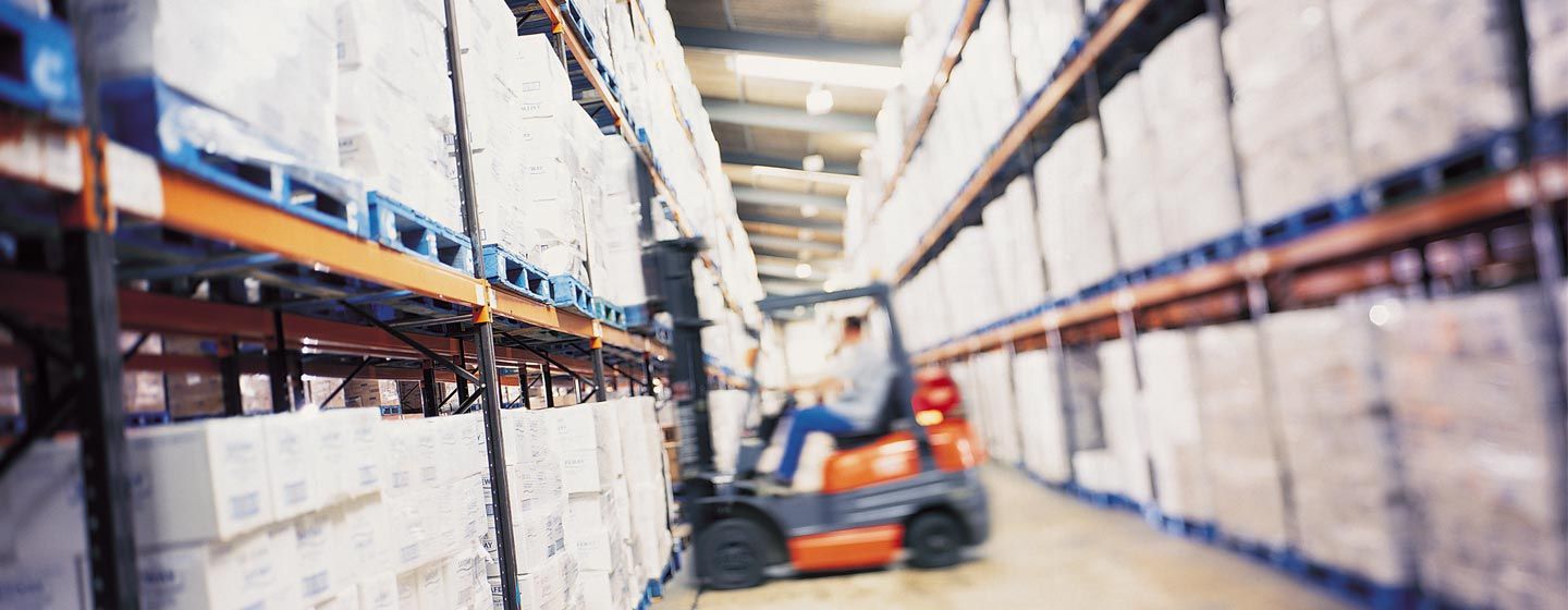 plagas-en-almacenes-empresas