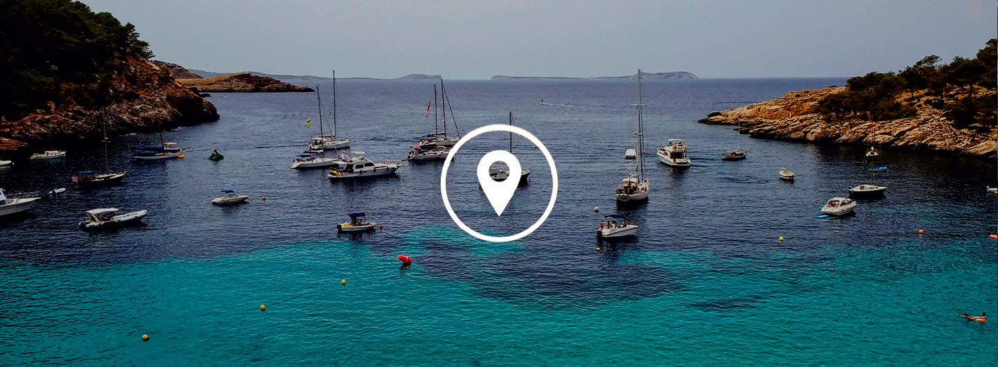 anticimex-en-palma-de-mallorca