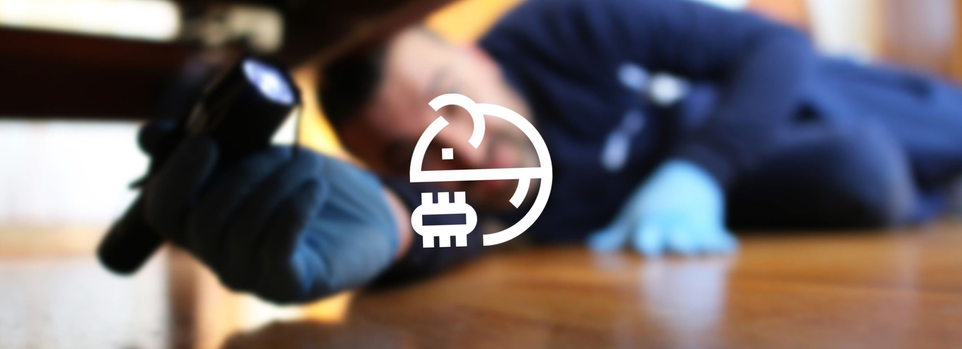 Control de plagas en Torrevieja