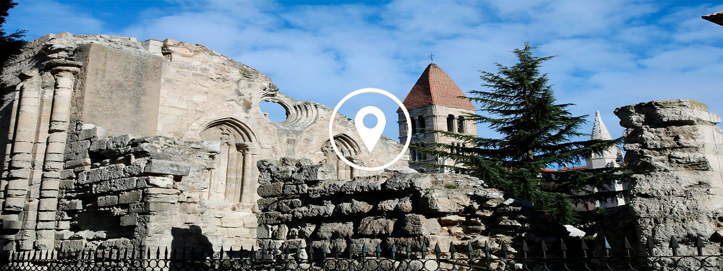 anticimex-en-valladolid