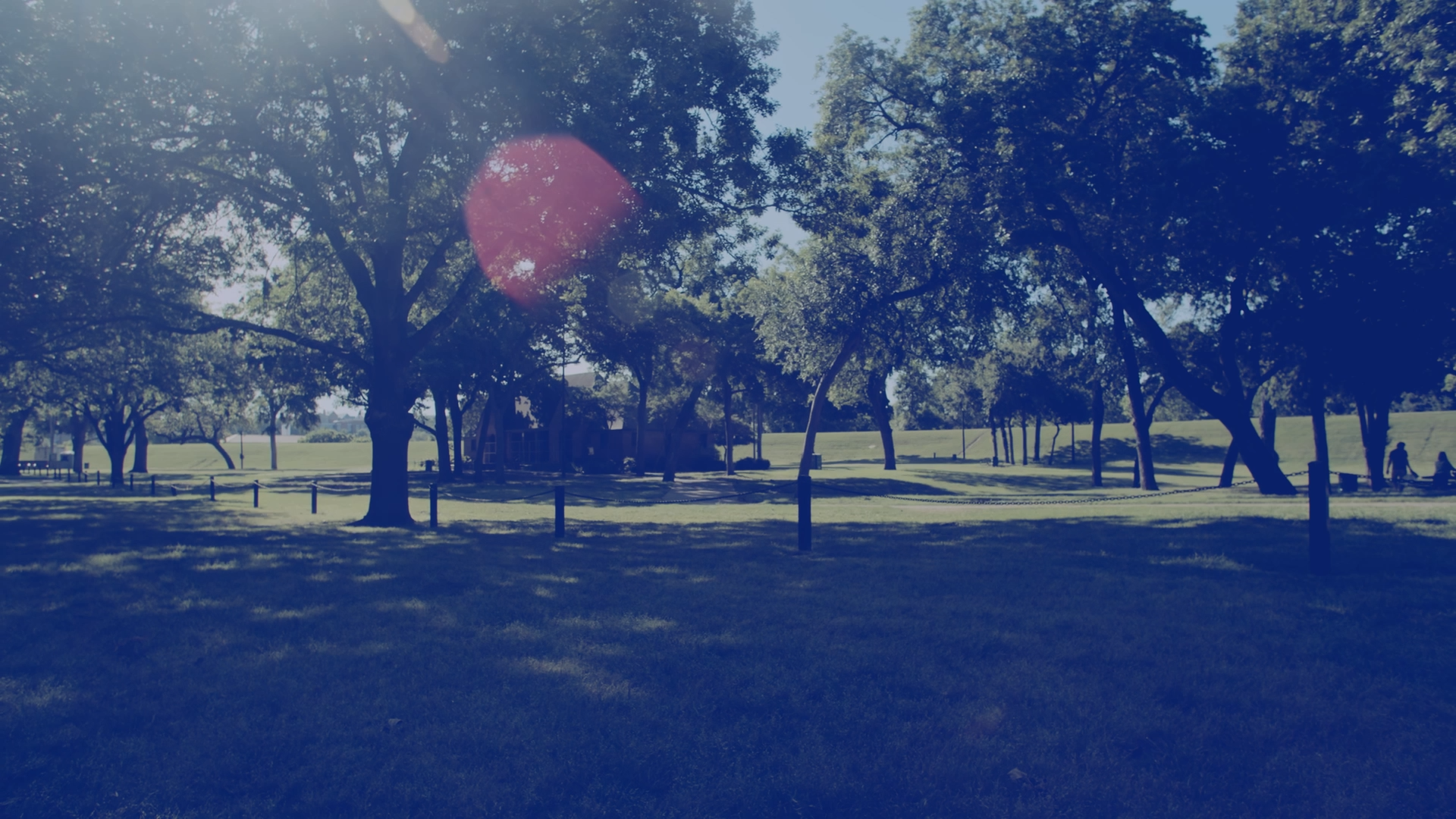 A park scene with numerous trees, a grassy field, and a strong blue tint, featuring a red lens flare.