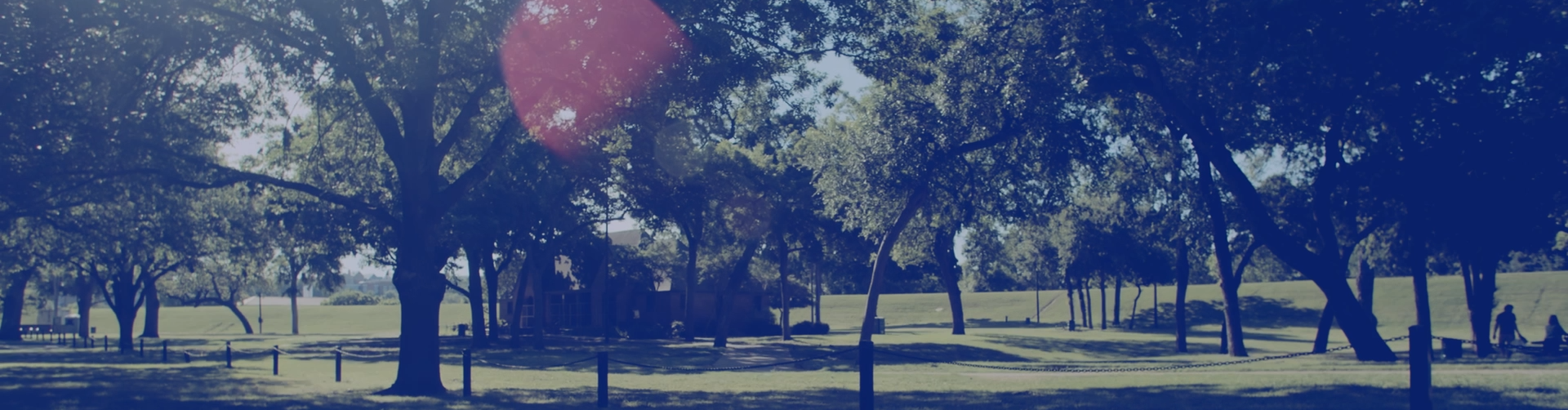 Blue-tinted panoramic view of a park with many trees, a grassy area, and a red sun flare.