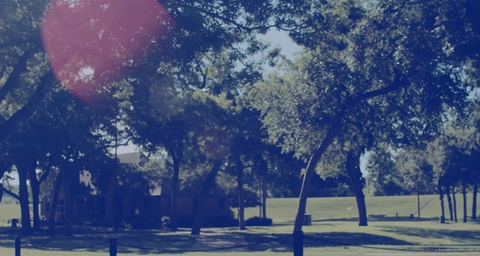 A park scene with numerous trees, a grassy field, and a strong blue tint, featuring a red lens flare.