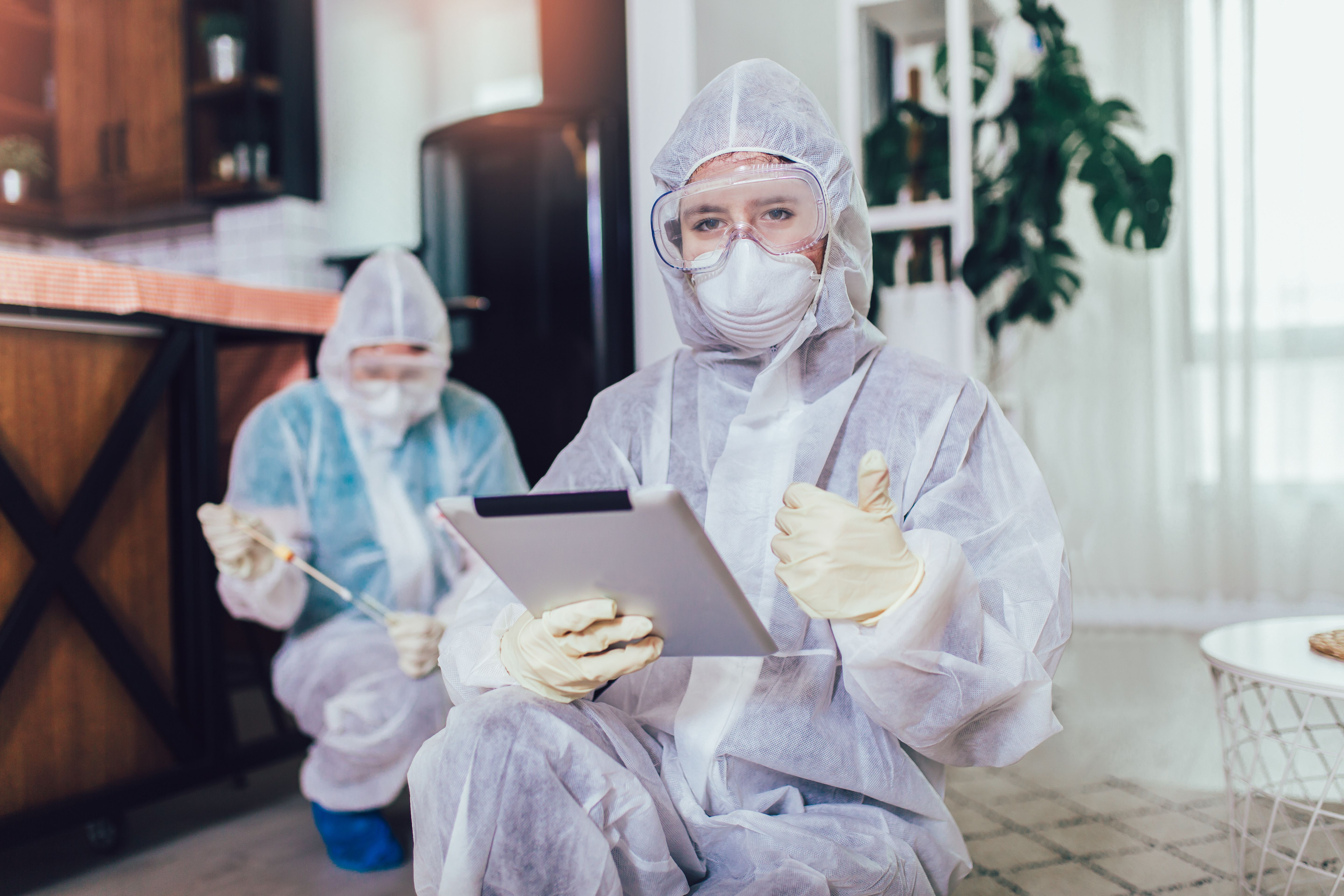 profesionales-chinches