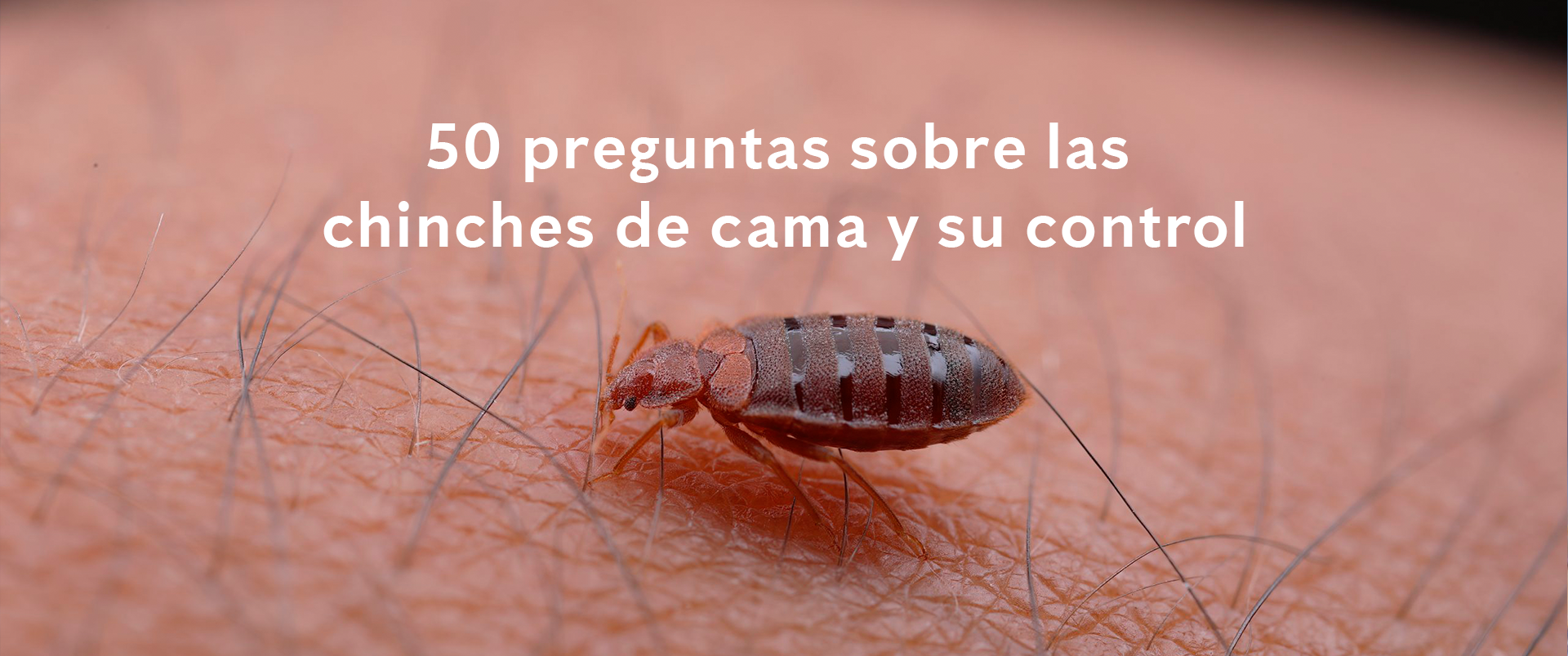 libro-curiosidades-chinches-de-cama