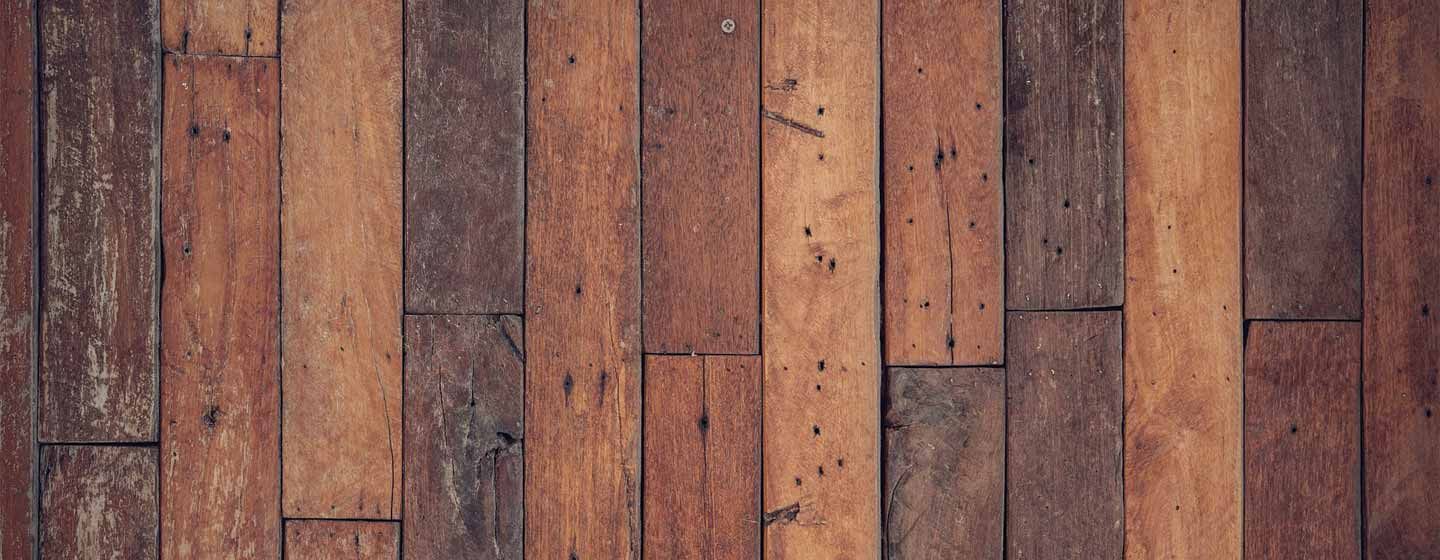 Las Plagas de la Madera son un problema común