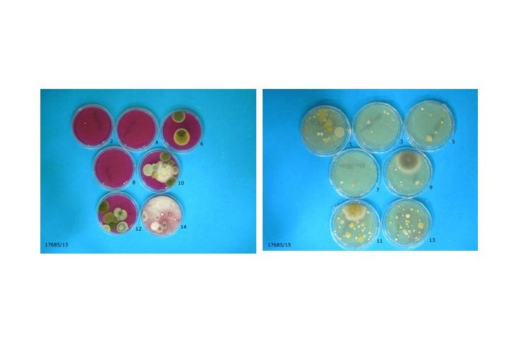 auditoria-control-ambiental