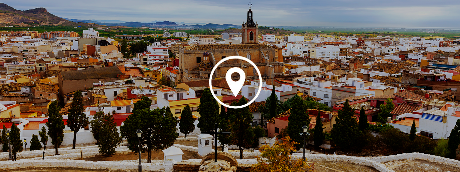 anticimex-en-sagunto