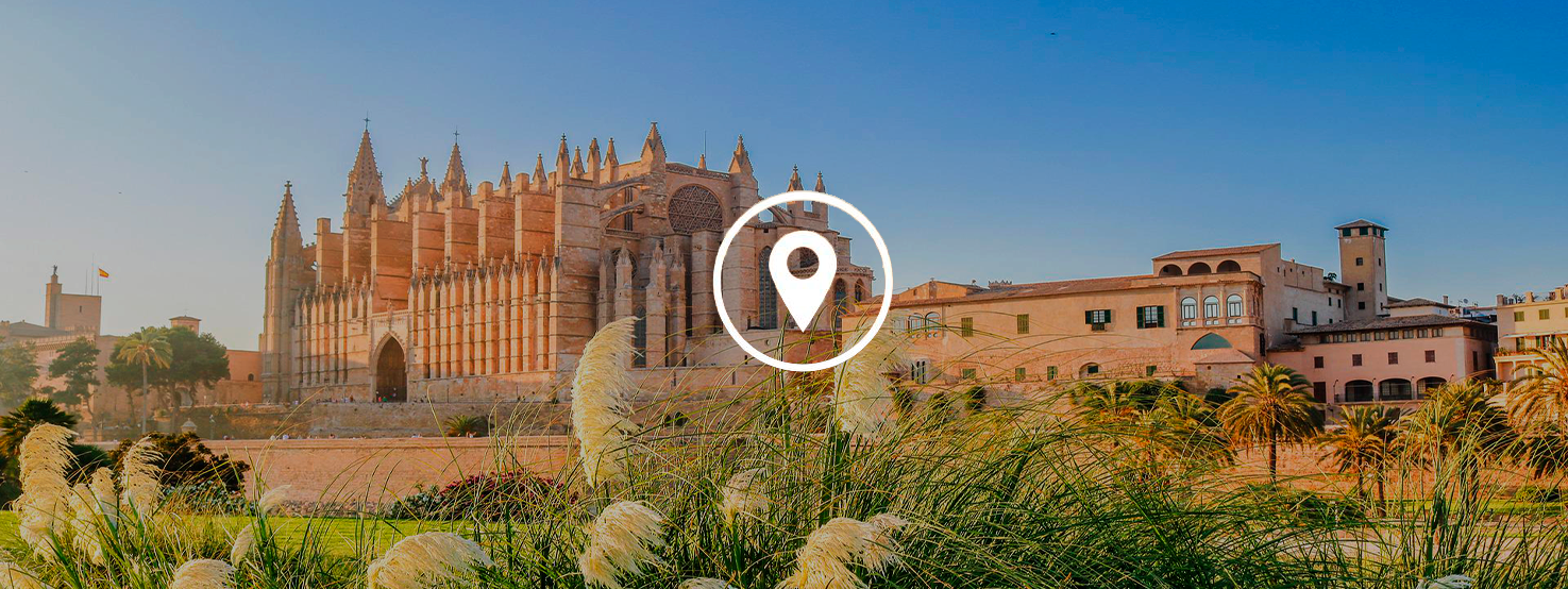 anticimex-en-manacor