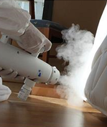 tratamiento-chinches-cama