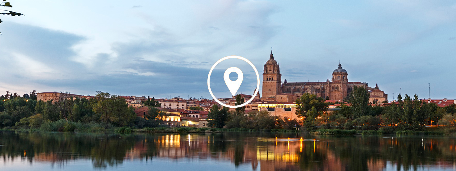 anticimex-en-salamanca