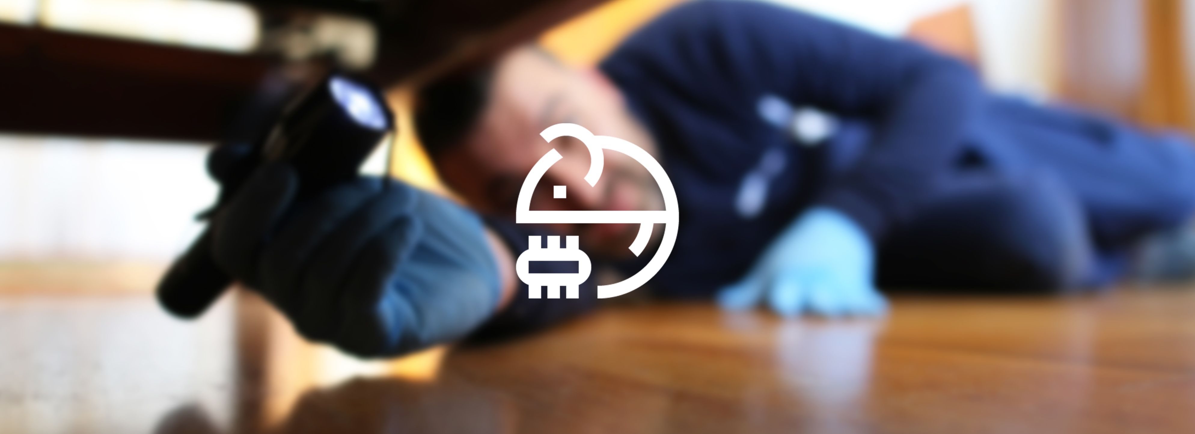 Control de plagas en Murcia, Desinsectación, desratización y desinfección en Murcia