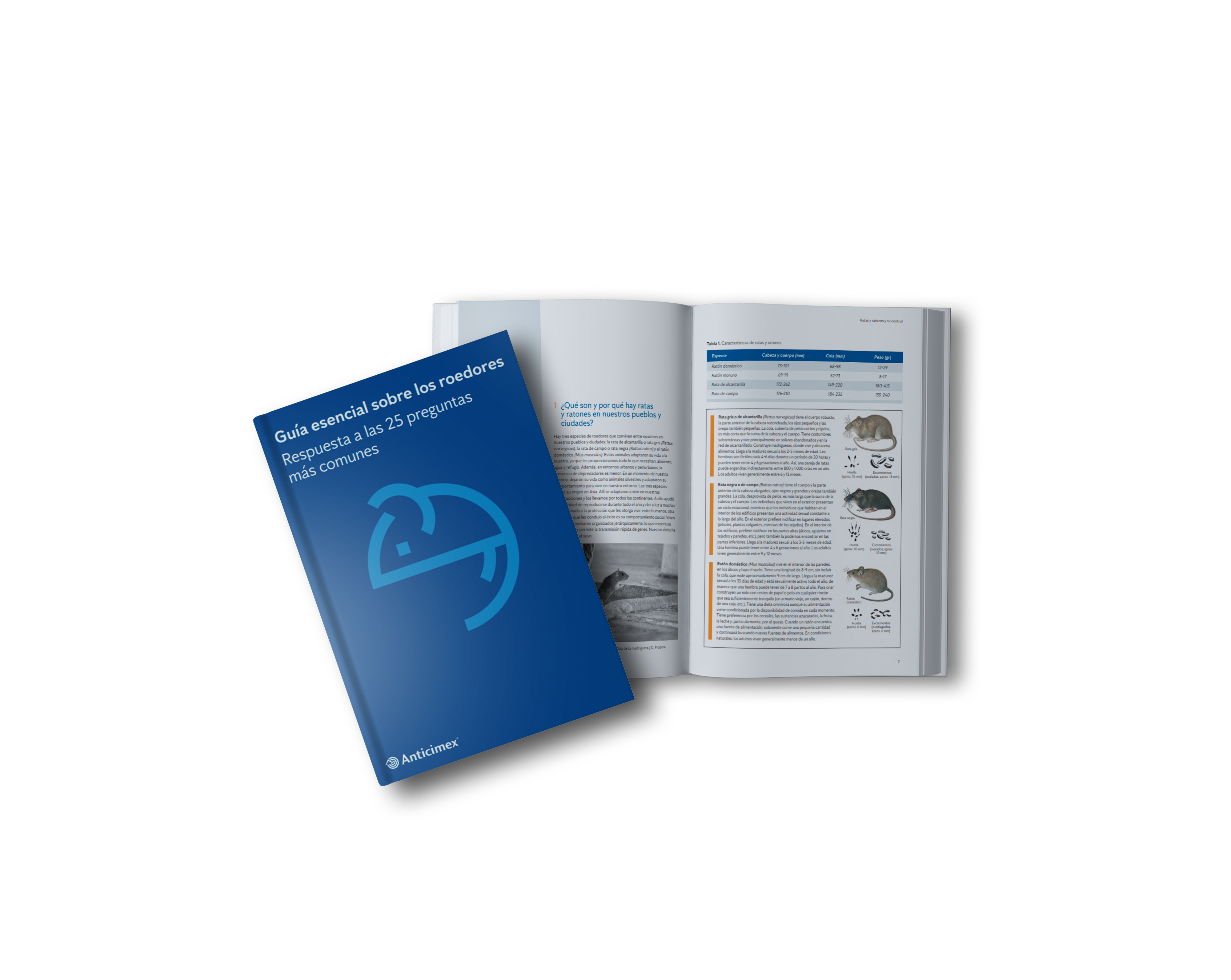 libro-roedores