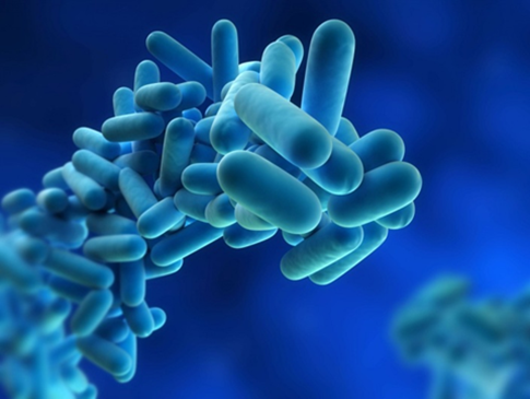 curso-legionella-real-decreto