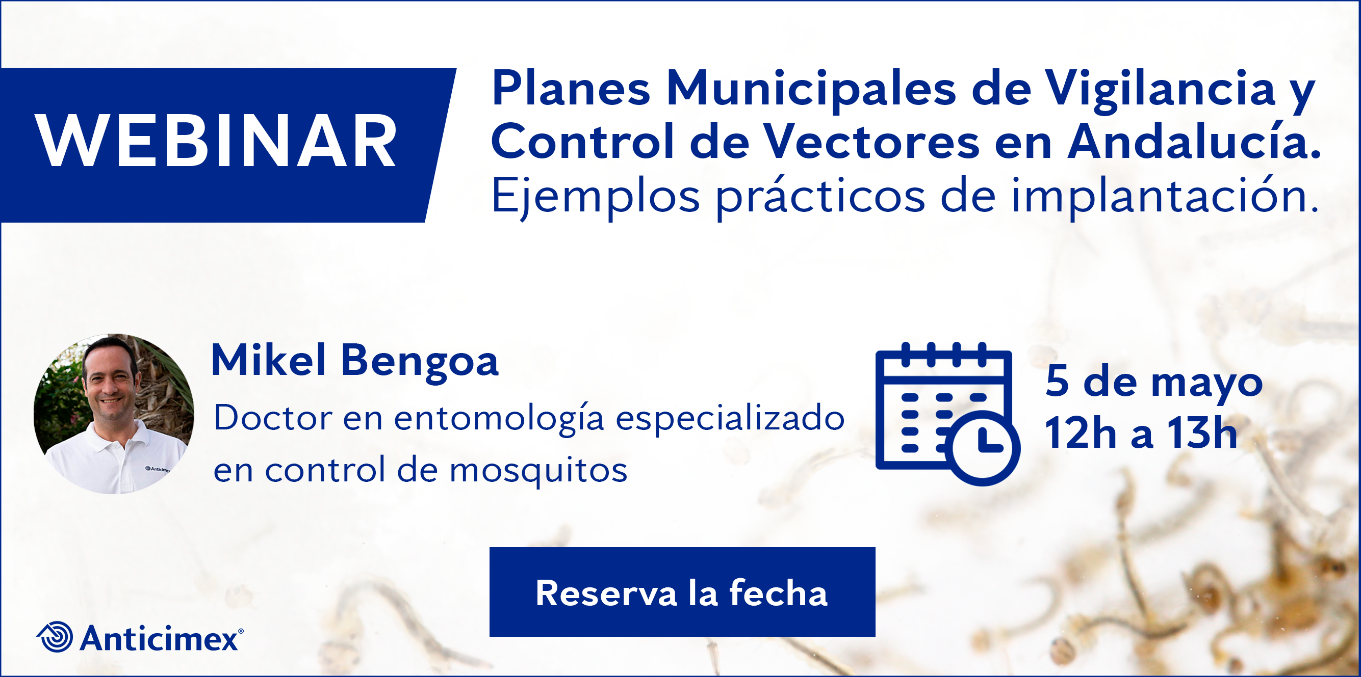 webinar-planes-vectores-andalucia