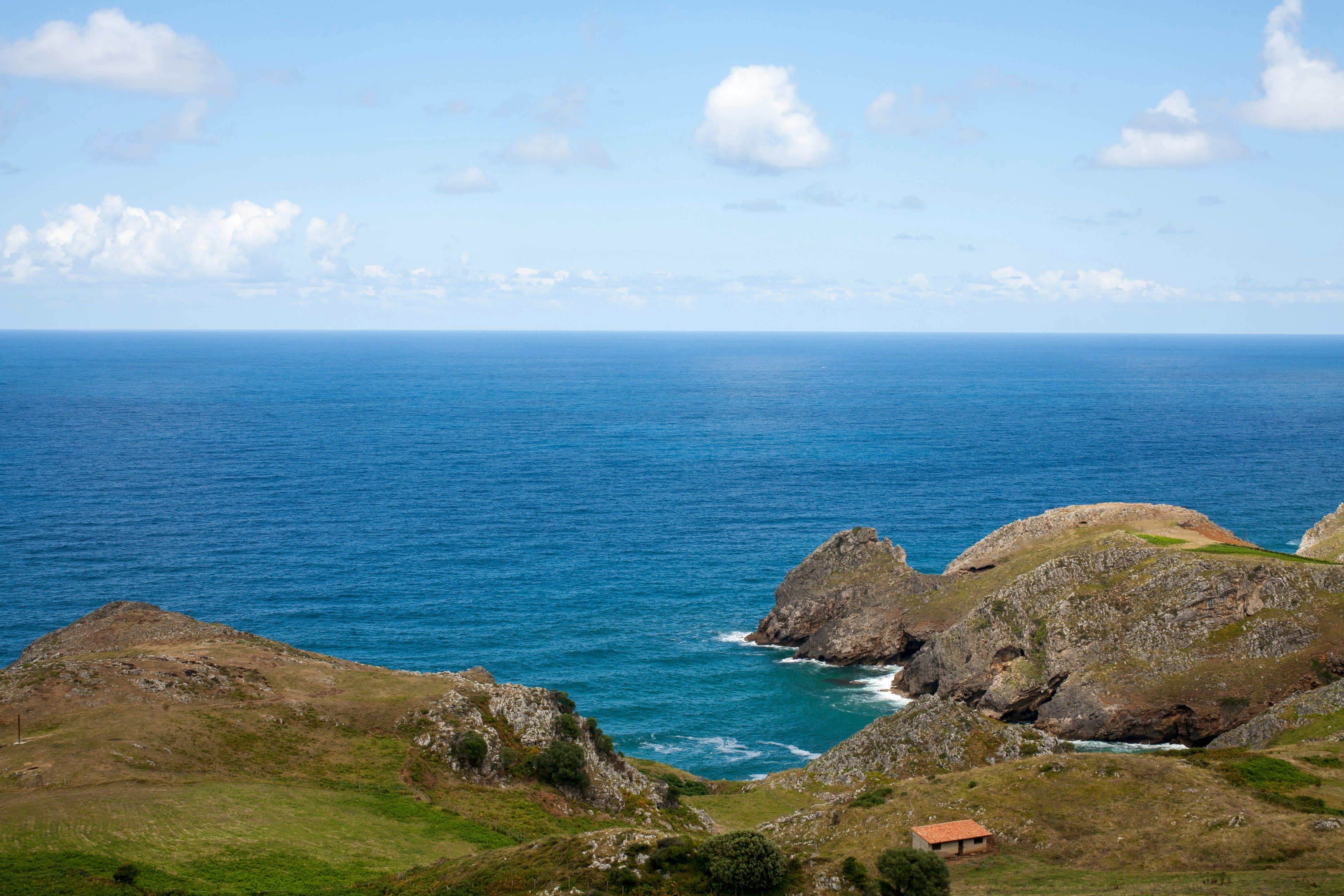 anticimex-en-cantabria