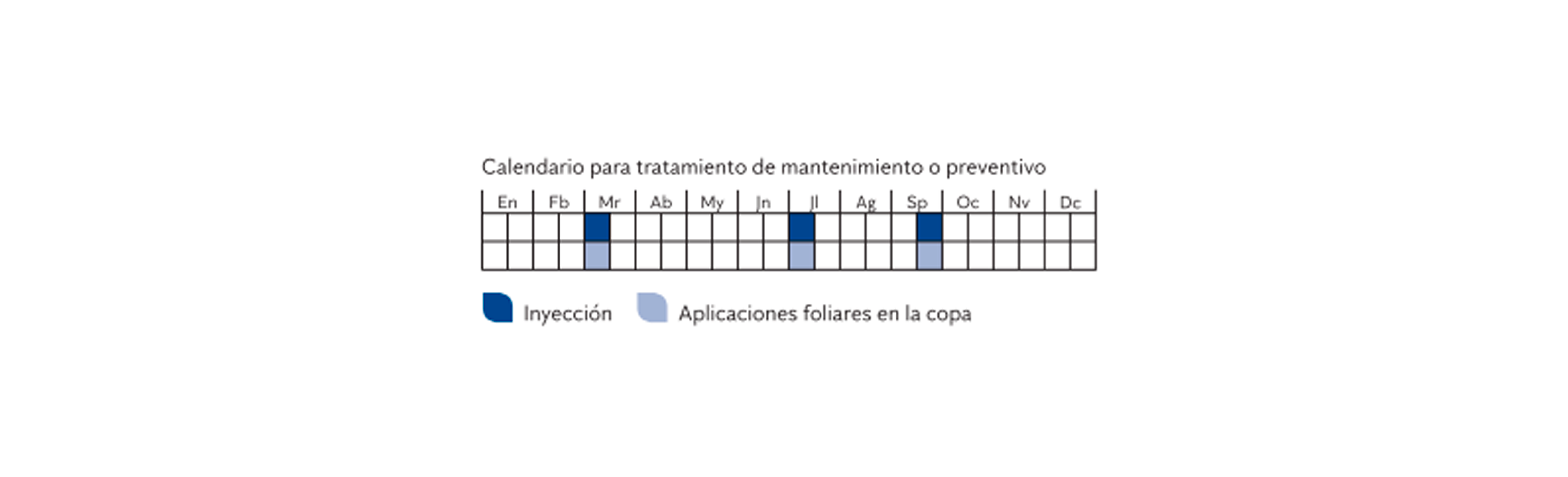 tratamiento-insecto-palmera