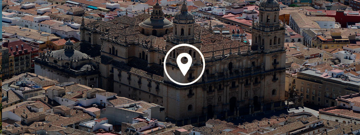 anticimex-en-linares