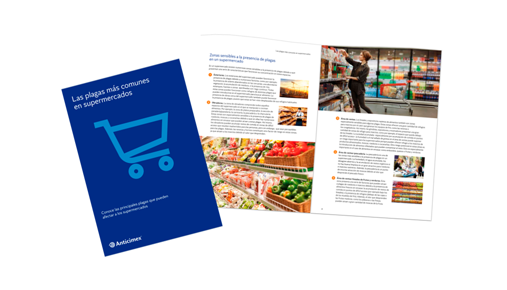 insectos-supermercados