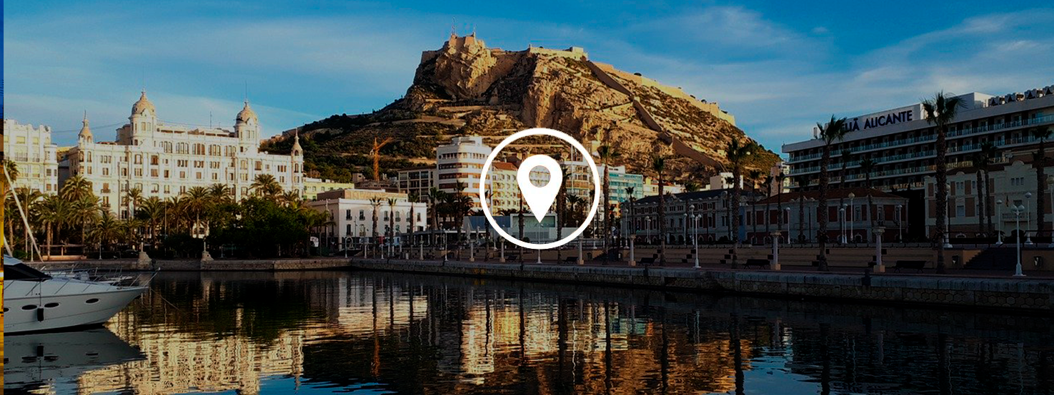 anticimex-en-alicante