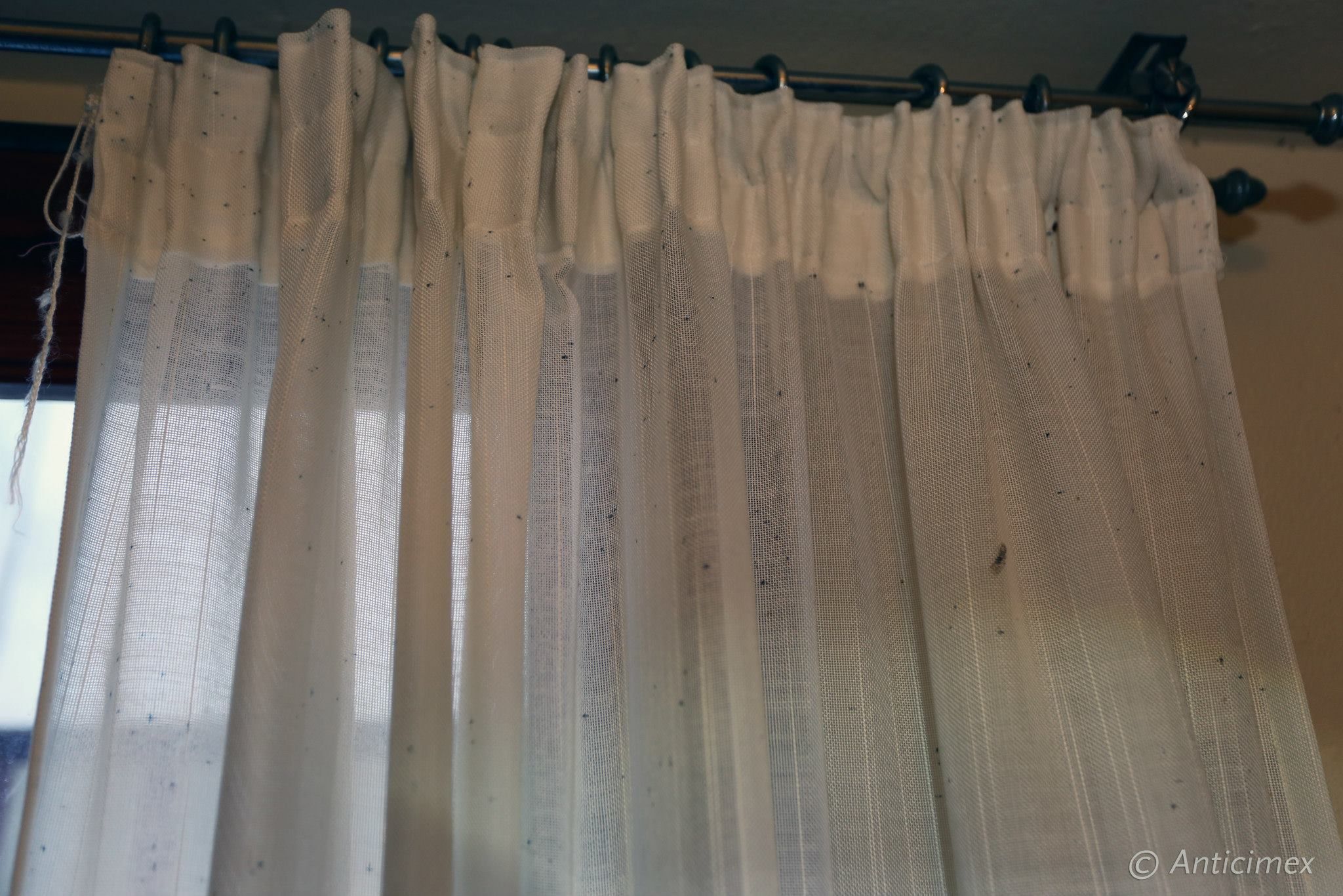 chinches-cama-cortinas