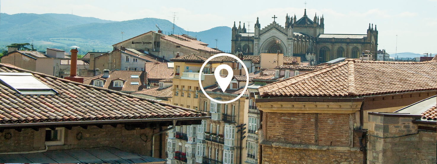 anticimex-en-vitoria-gasteiz