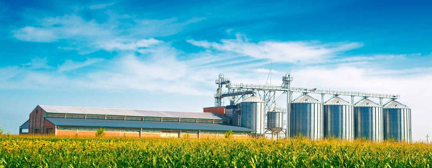 Fumigación en silos y recintos cerrados