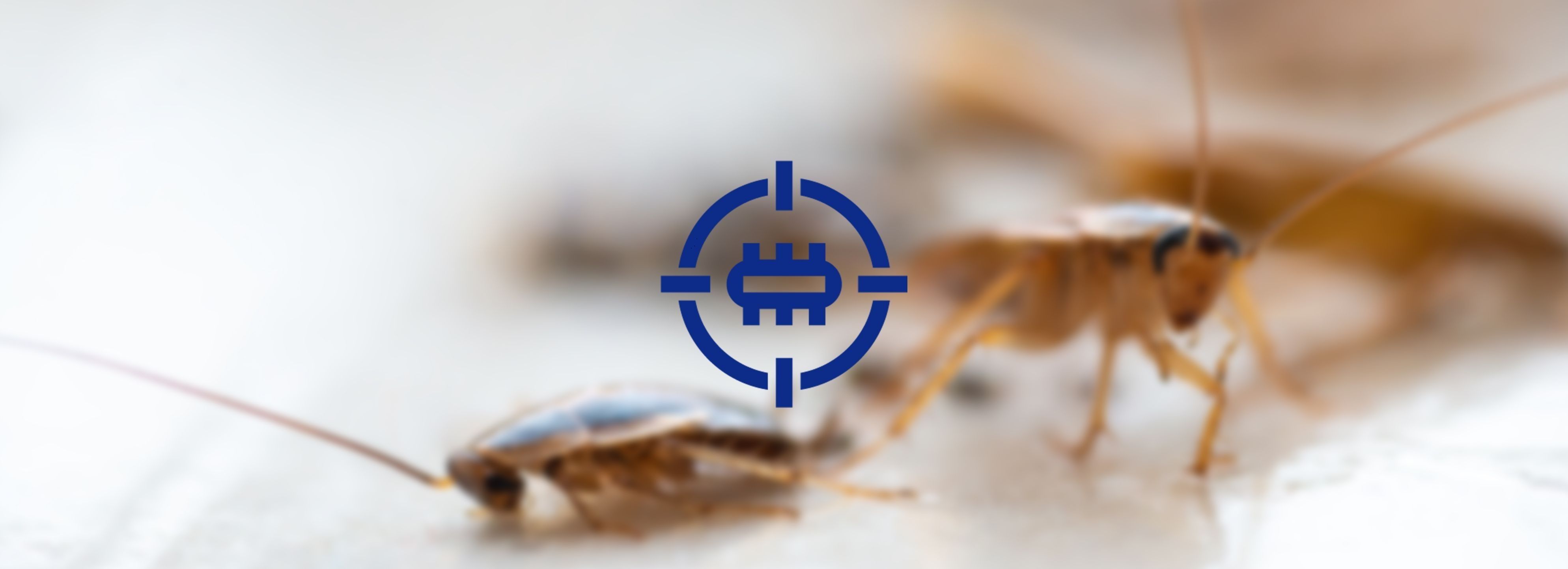 eliminar-cucarachas-cordoba