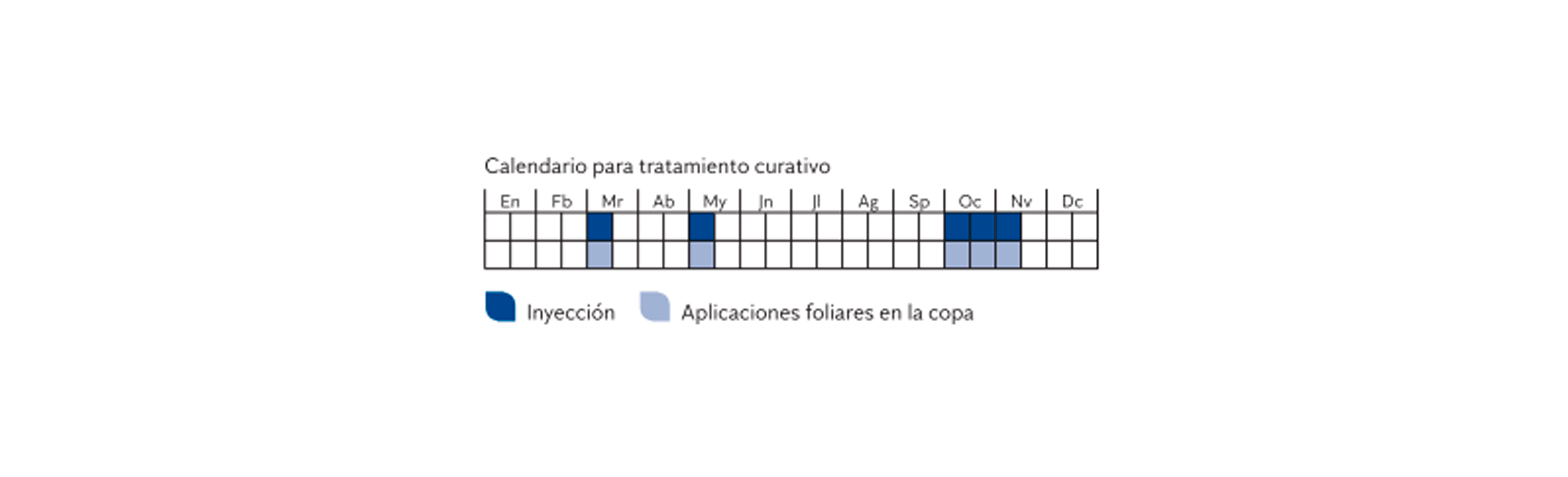 tratamiento-insecto-palmera