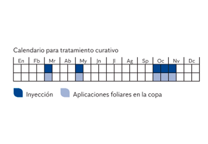 tratamiento-insecto-palmera