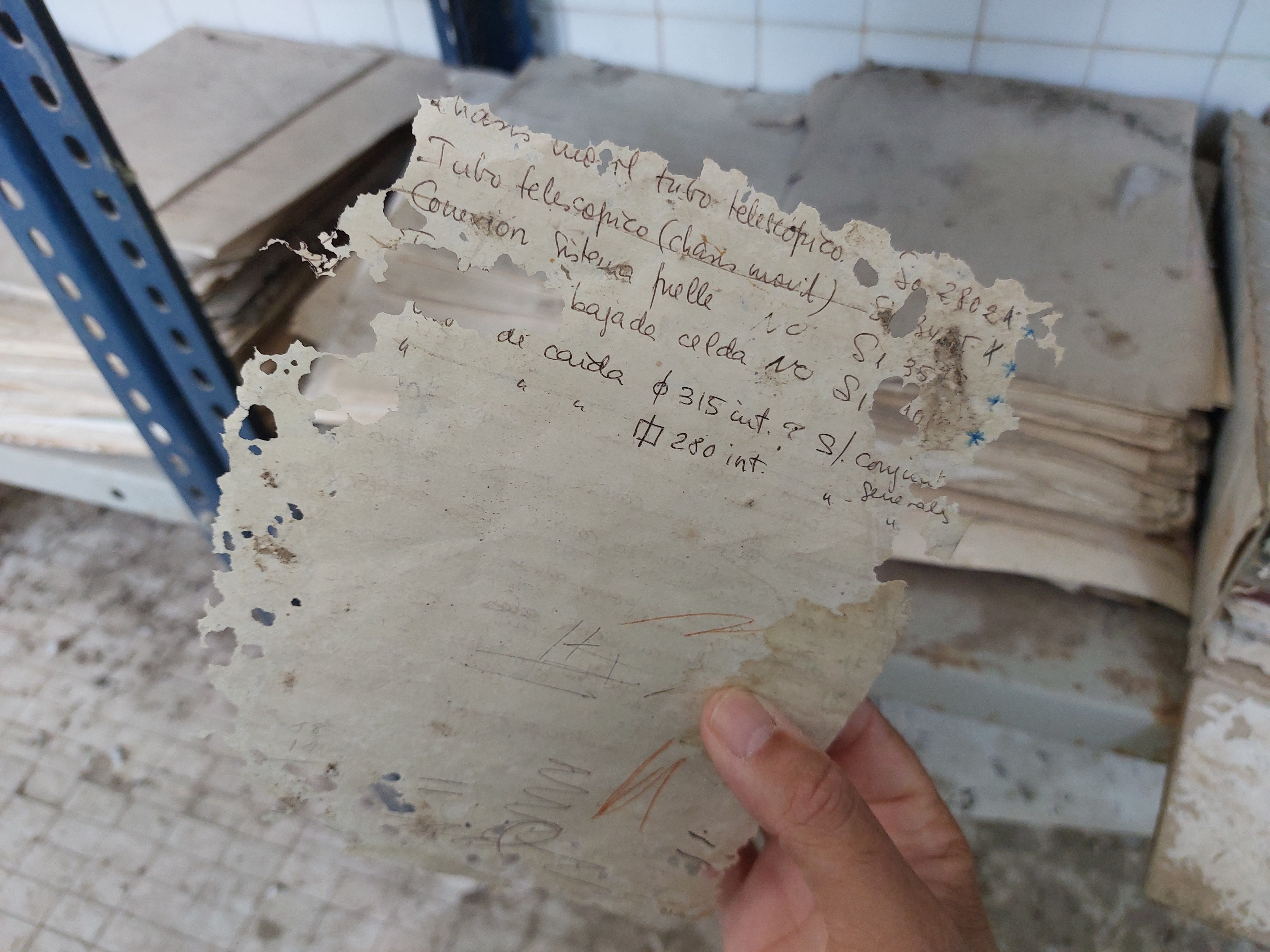 daños-papel-pececillos