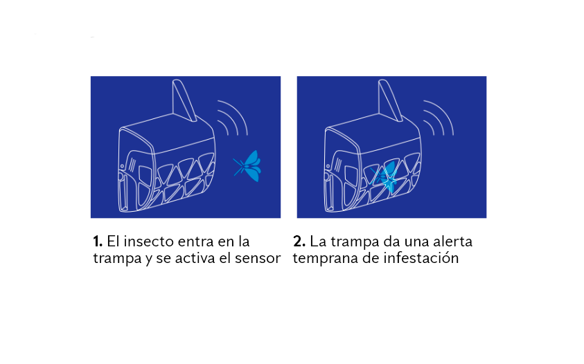 trampa-para-insectos