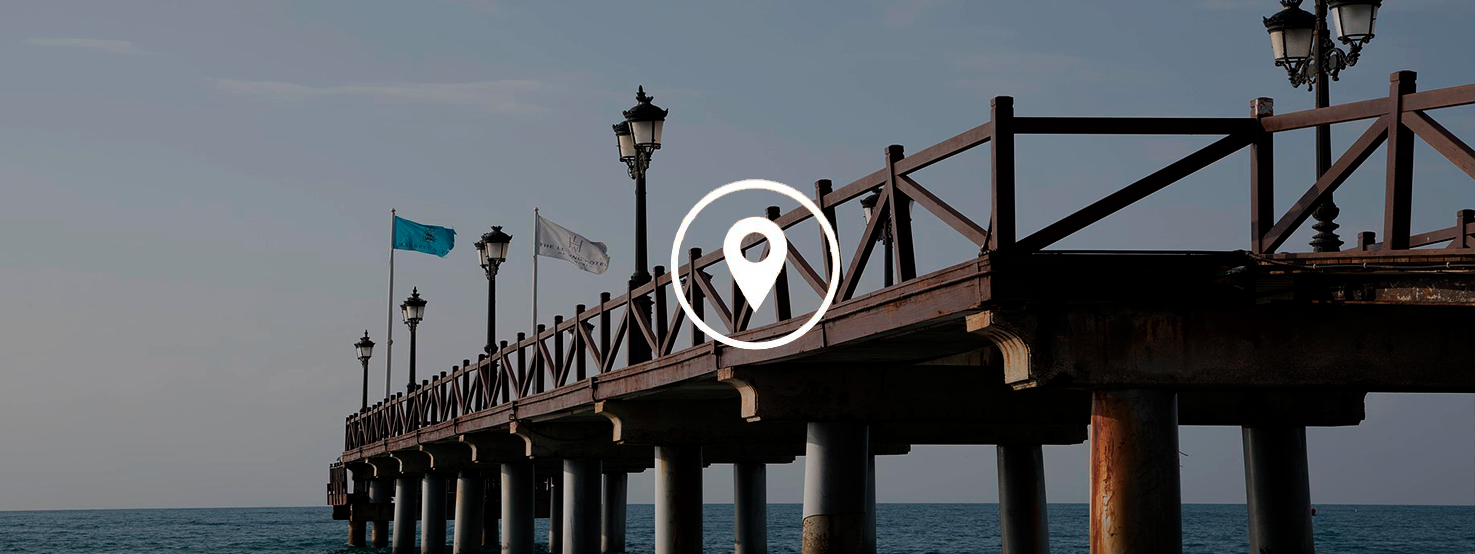 anticimex-en-marbella