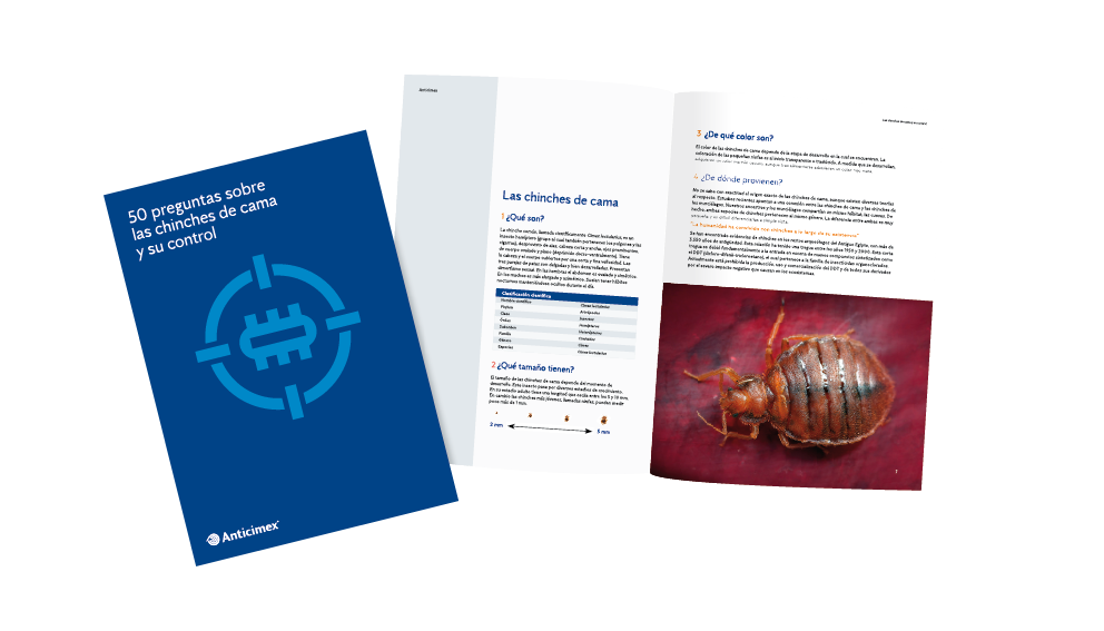 libro-chinches-de-cama