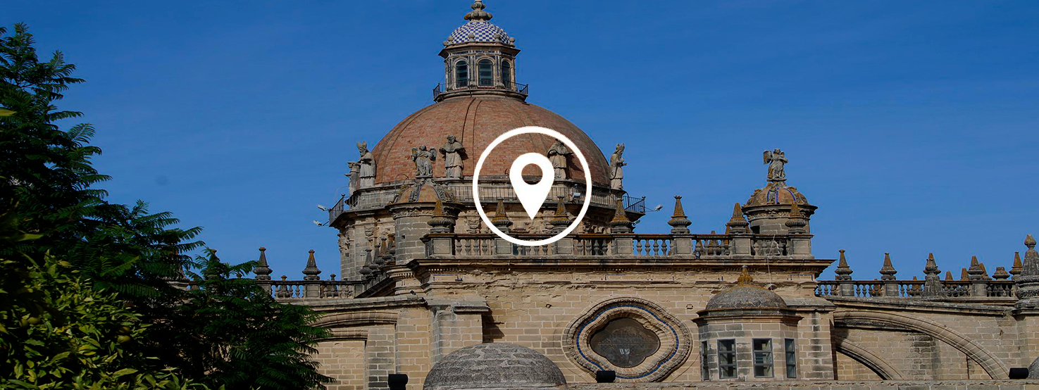 anticimex-en-jerez-de-la-frontera