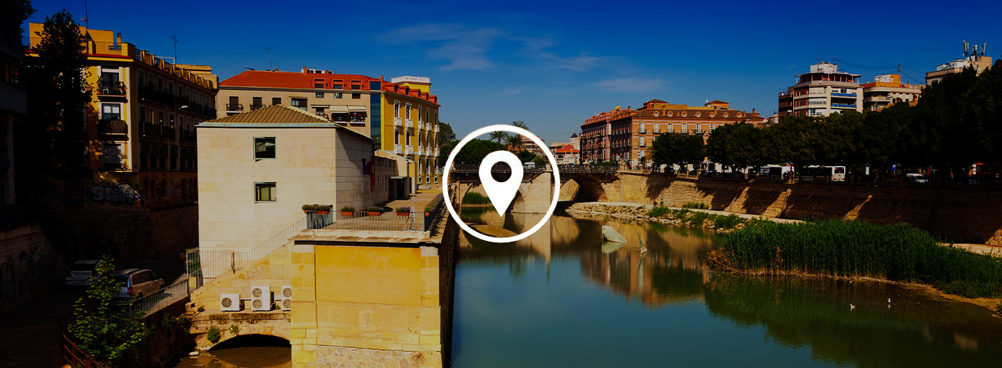 anticimex-en-molina-de-segura