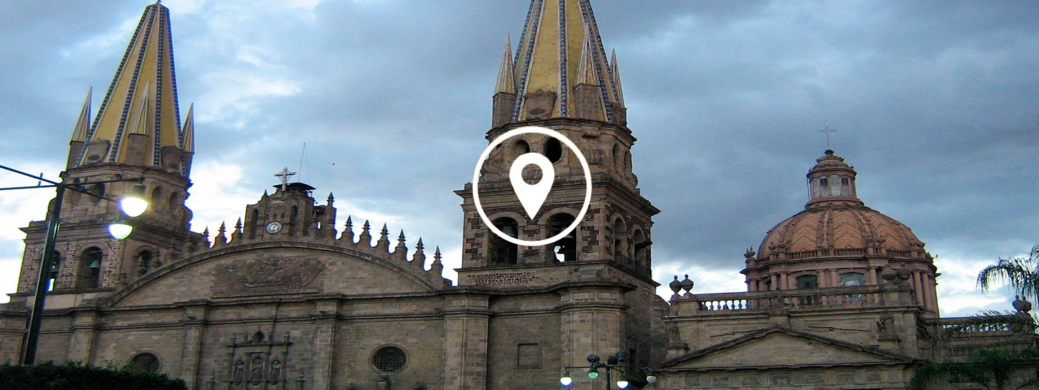 anticimex-en-guadalajara