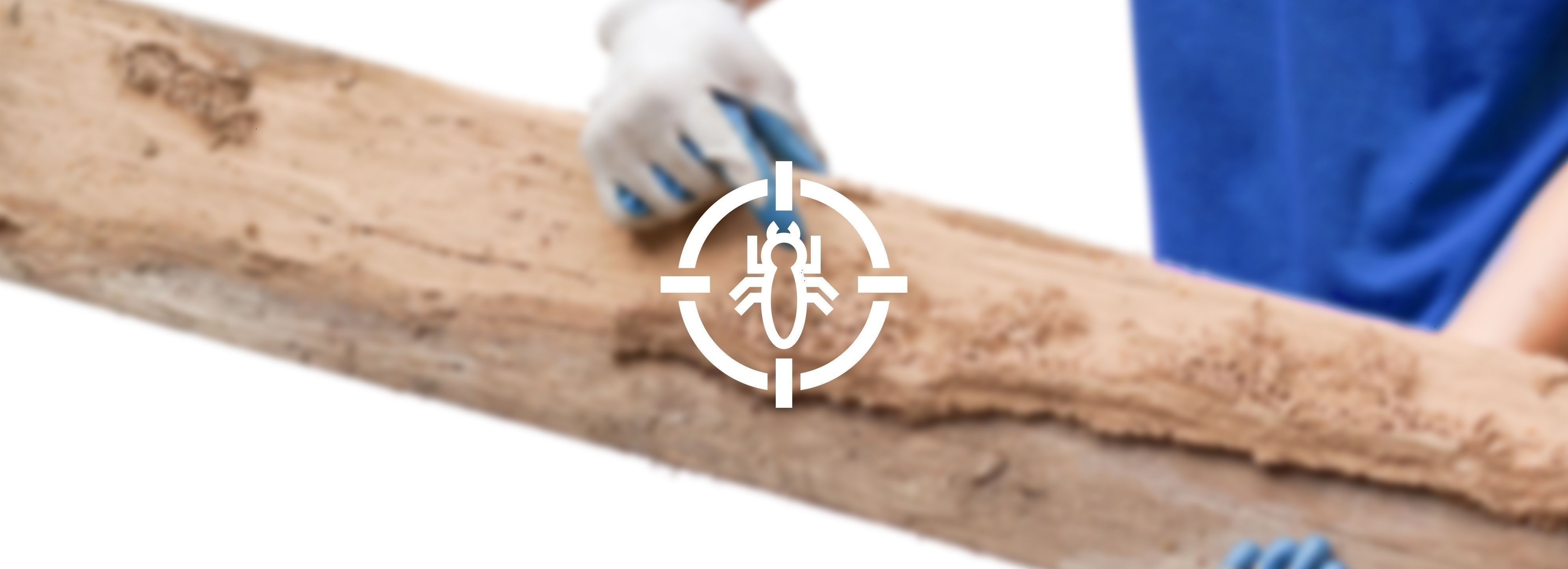 eliminar-termitas-granada